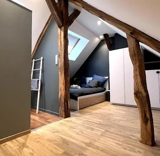 Le Bossuet : Centre Historique Apartment